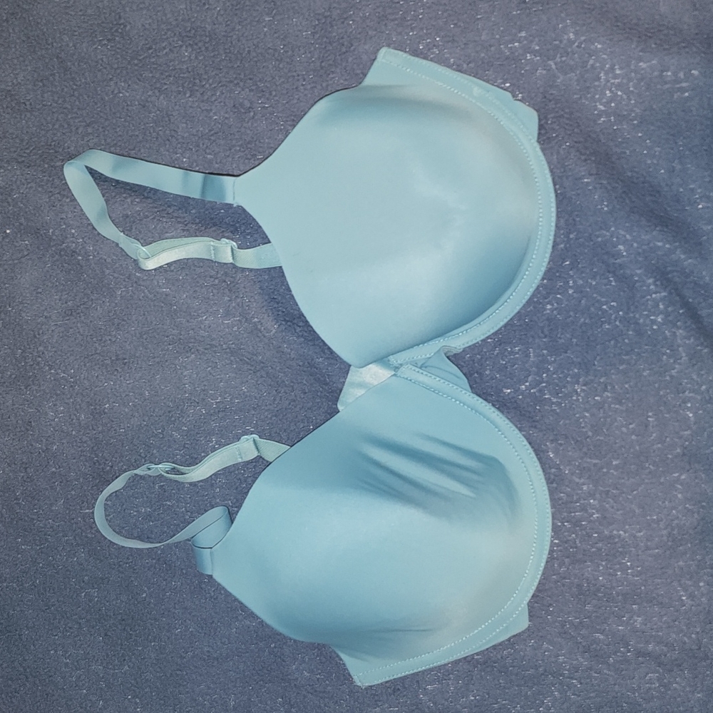 Gilligan ans O'Malley Favorite Demi 38 D